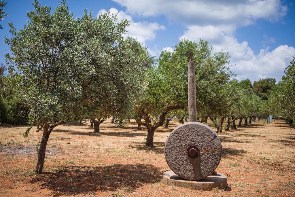 Vrysomylos Vromonérion المظهر الخارجي الصورة