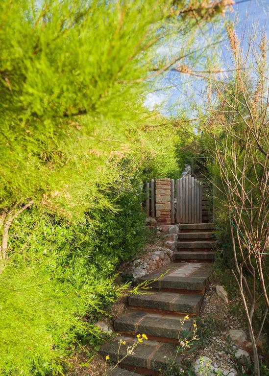 Vrysomylos Vromonérion المظهر الخارجي الصورة