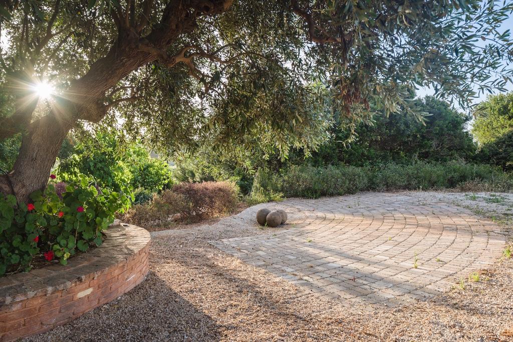 Vrysomylos Vromonérion المظهر الخارجي الصورة