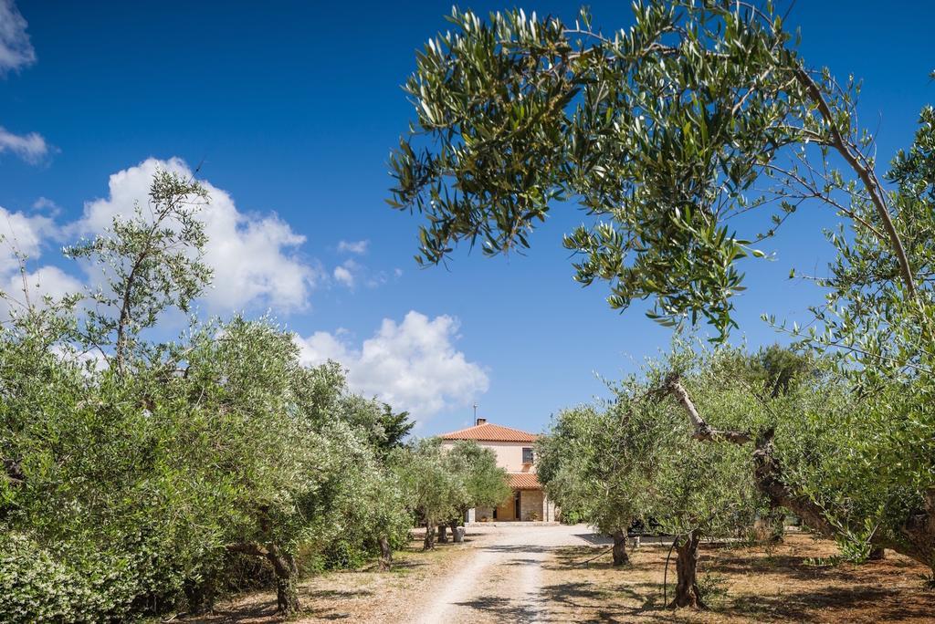 Vrysomylos Vromonérion المظهر الخارجي الصورة